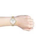 Hugo Boss Signature Silver Dial Two Tone Steel Strap Watch for Women - 1502568