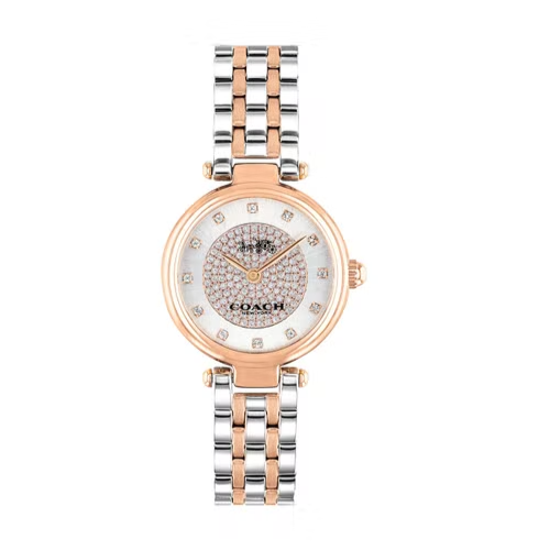 Coach Park Silver Dial Two Tone Steel Strap Watch for Women - 14503642
