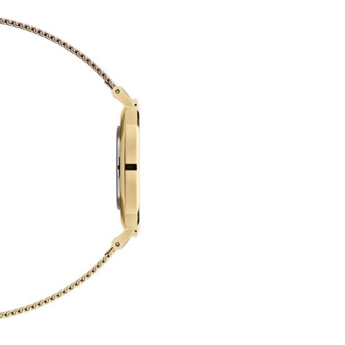 Daniel Wellington Classic Petite Evergold White Dial Gold Mesh Bracelet Watch For Women - DW00100346