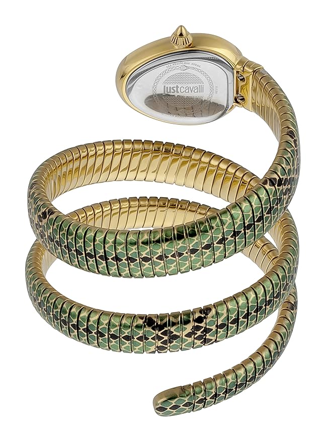 Just Cavalli Doppio Green Dial Multicolor Steel Strap Watch for Women - JC1L163M0055