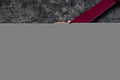 Emporio Armani Gianni T Bar Crystals Maroon Dial Maroon Leather Strap Watch for Women - AR11487