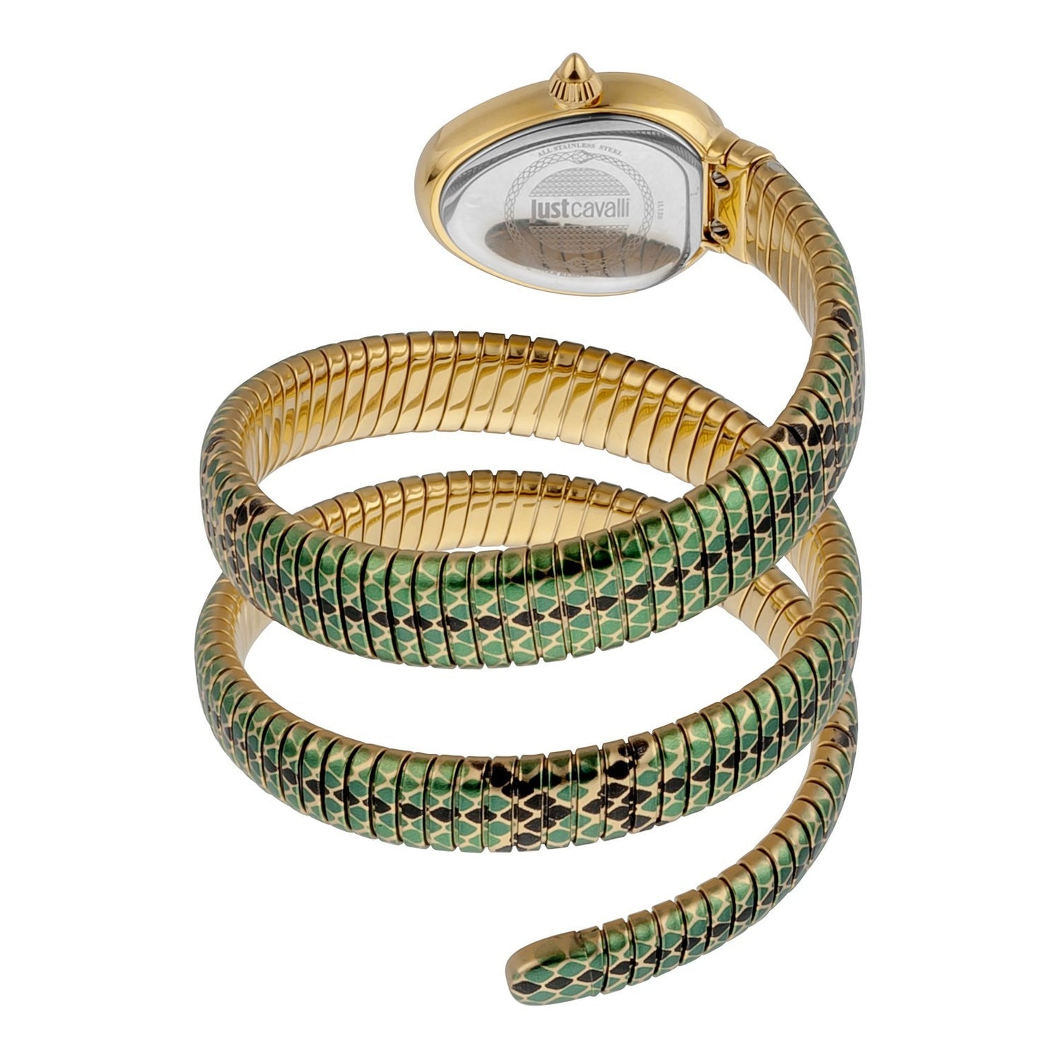 Just Cavalli Doppio Green Dial Multicolor Steel Strap Watch for Women - JC1L163M0055