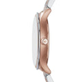 Emporio Armani Classic Silver Dial Two Tone Steel Strap Watch For Men - AR1839