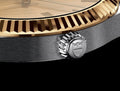Tudor Style Automatic Gold Dial Two Tone Steel Strap Watch for Men - M12713-0001