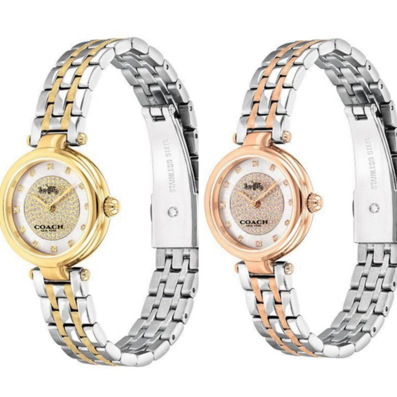 Coach Park Silver Dial Two Tone Steel Strap Watch for Women - 14503643