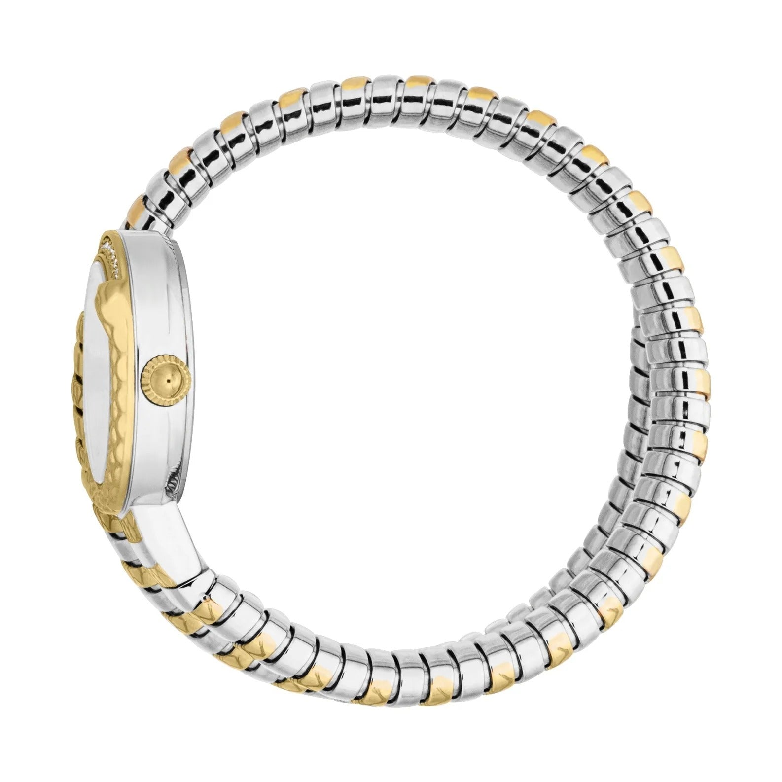 Just Cavalli Enchanting Silver Dial Two Tone Steel Strap Watch for Women - JC1L301M0065