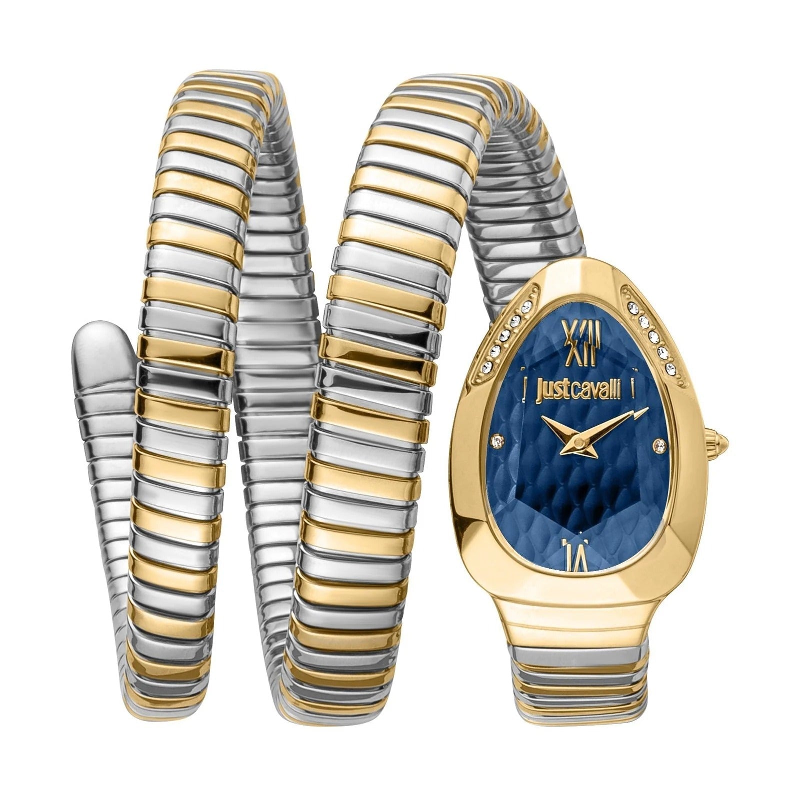 Just Cavalli Glam Evo 9 Blue Dial Two Tone Steel Strap Watch for Women - JC1L224M0075