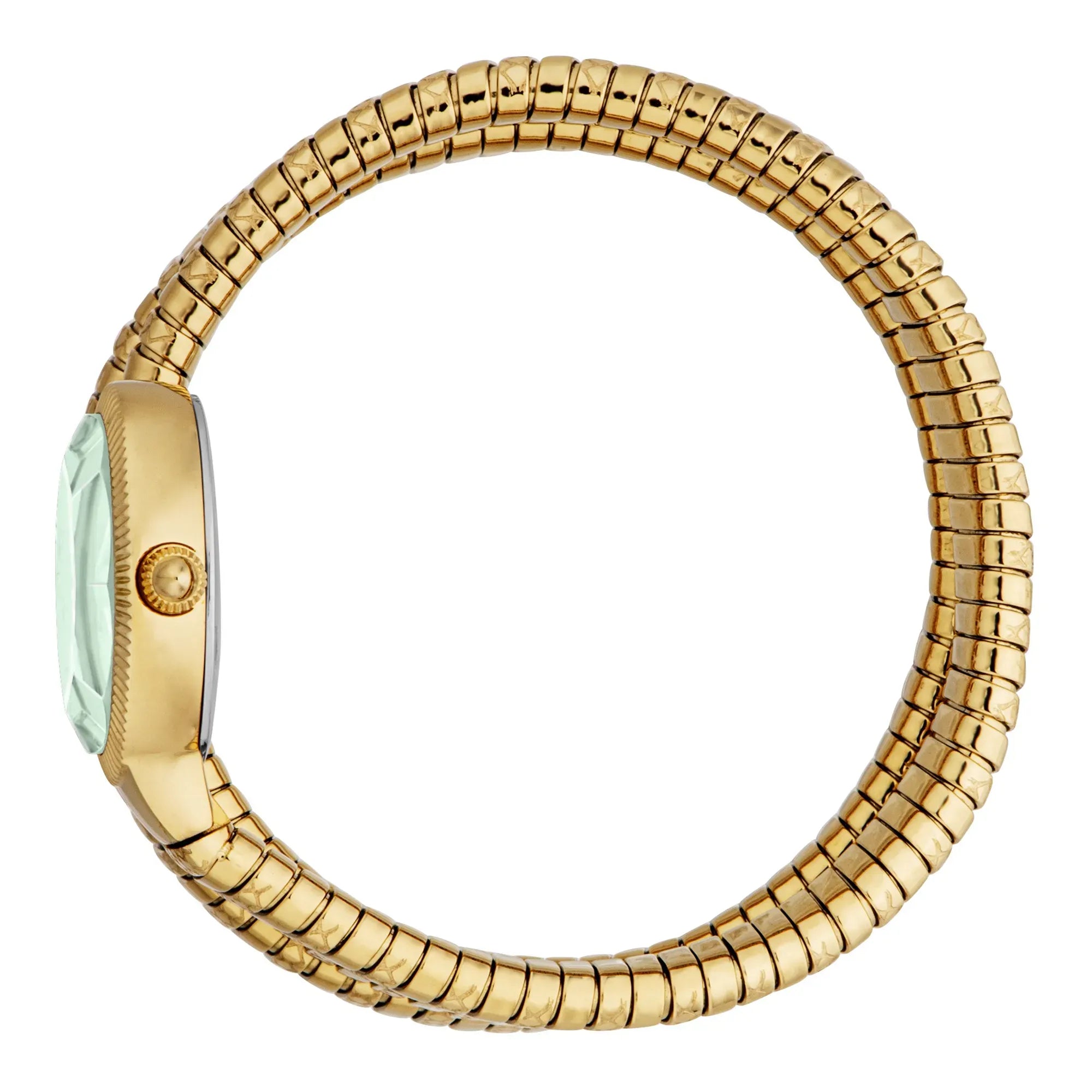 Just Cavalli After Party Green Dial Gold Steel Strap Watch for Women - JC1L269M0035