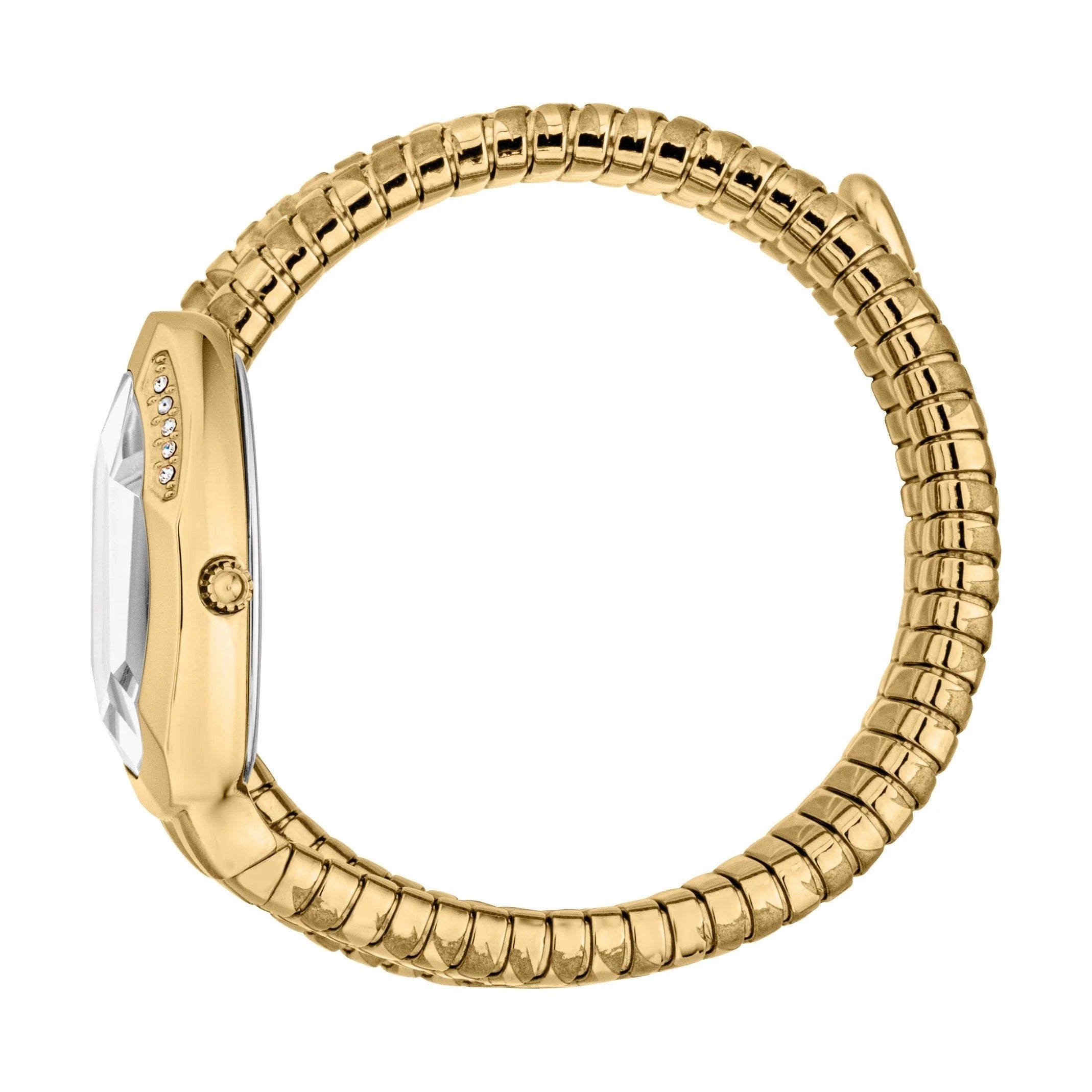 Just Cavalli Cosenza Silver Dial Gold Steel Strap Watch for Women - JC1L232M0025
