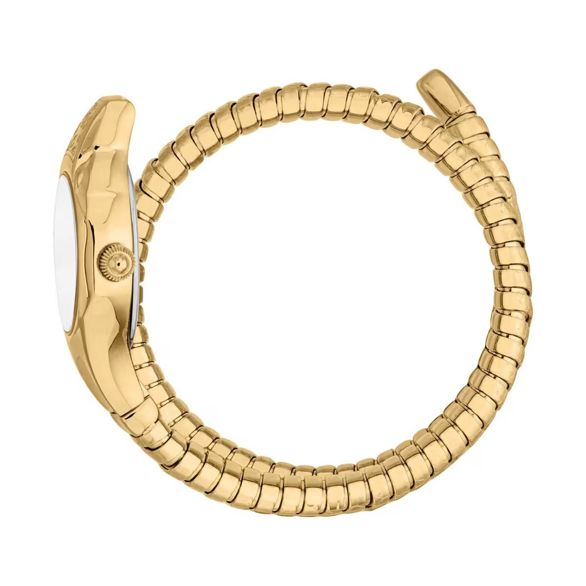 Just Cavalli Cosenza Silver Dial Gold Steel Strap Watch for Women - JC1L232M0025