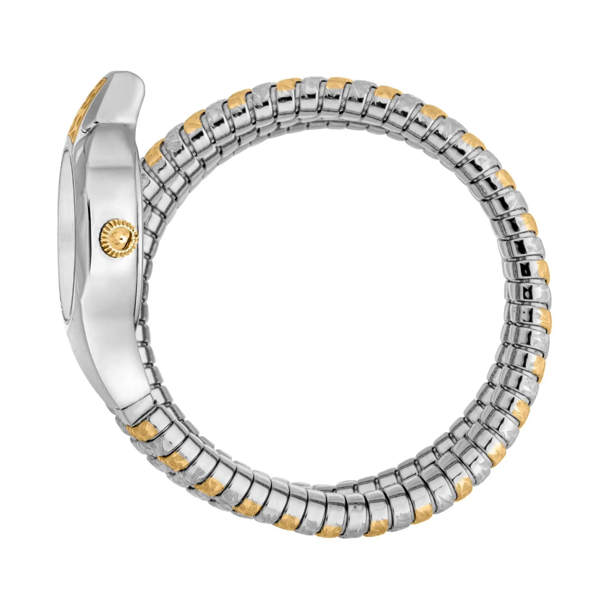 Just Cavalli Cosenza Silver Dial Two Tone Steel Strap Watch for Women - JC1L232M0055