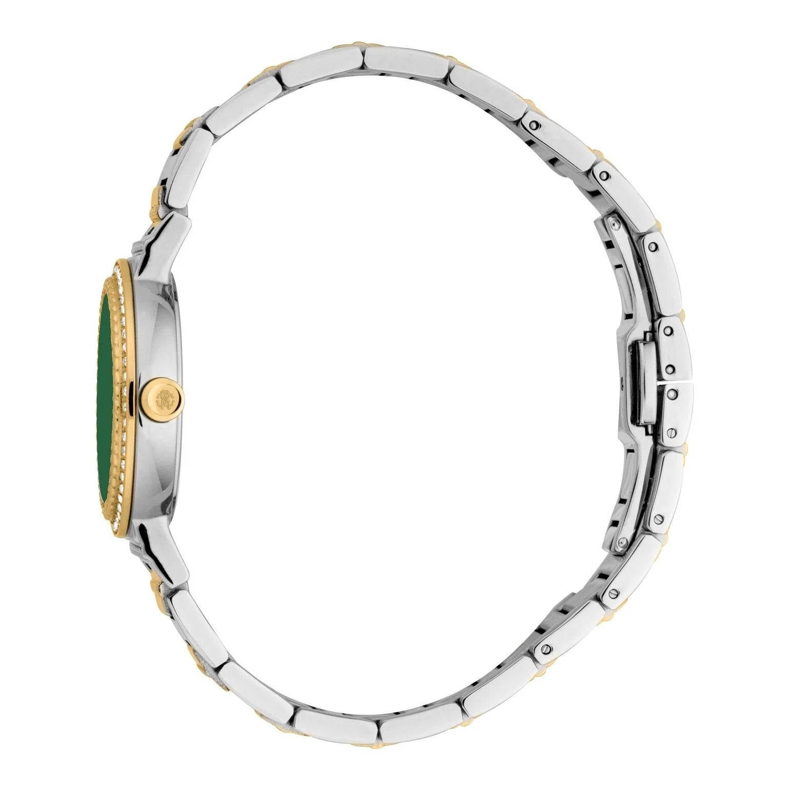 Just Cavalli Donna Glam Green Dial Two Tone Steel Strap Watch for Women - RC5L098M0065