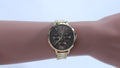 Hugo Boss Symphony Brown Dial Gold Steel Strap Watch for Women - 1502422